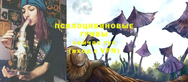 гашик Беломорск