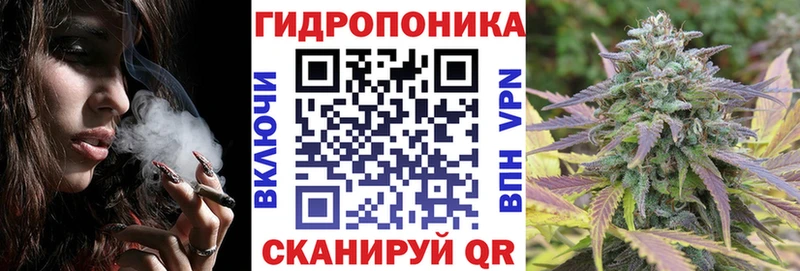 Шишки марихуана гибрид  наркотики  Верхняя Тура 